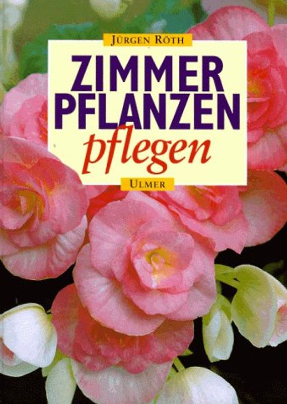 Zimmerpflanzen pflegen