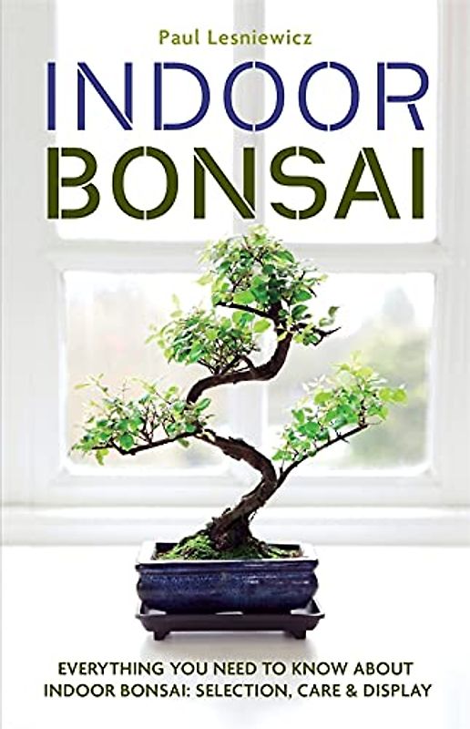 Indoor Bonsai