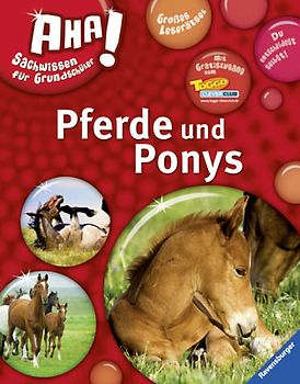 Pferde und Ponys