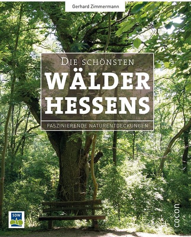 Die schönsten Wälder Hessens