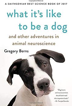 What It's Like to Be a Dog