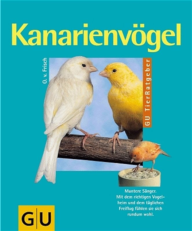 Kanarienvögel. Muntere Sänger. Mit dem richtigen Vogelheim und dem täglichen Freiflug fühlen sie sich rundum wohl