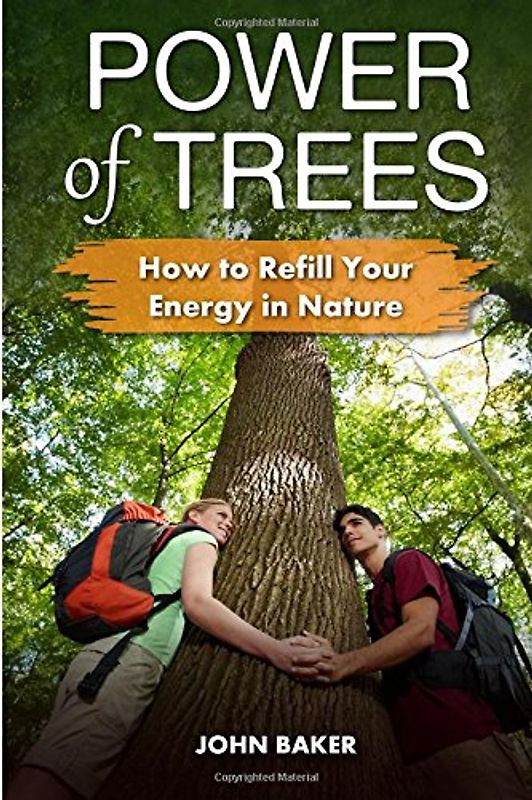 Power of Trees: How to Refill Your Energy in Nature