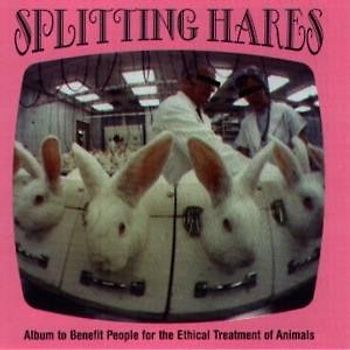 Various - Splitting Hares
