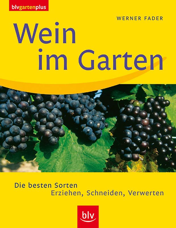 Wein im Garten