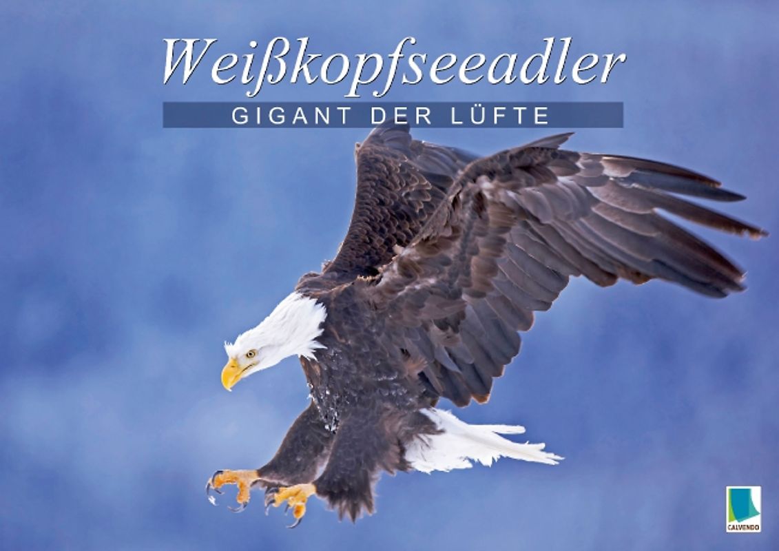 Gigant der Lüfte: Weißkopfseeadler (Posterbuch DIN A4 quer)