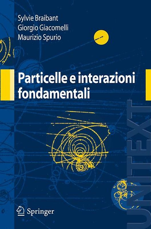 Particelle e interazioni fondamentali