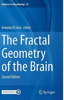 The Fractal Geometry of the Brain
