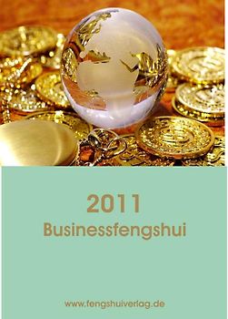 Businessfengshui 2011