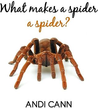 What Makes a Spider a Spider
