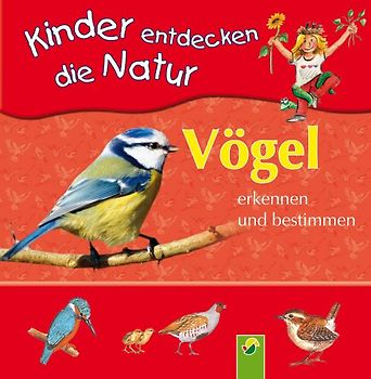 Vögel erkennen und bestimmen