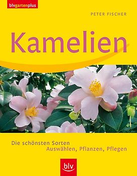 Kamelien