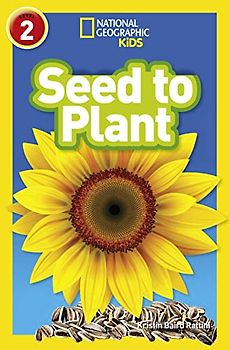 Seed to Plant
