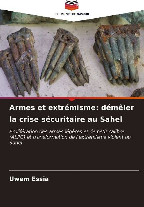 Armes et extrémisme: démêler la crise sécuritaire au Sahel