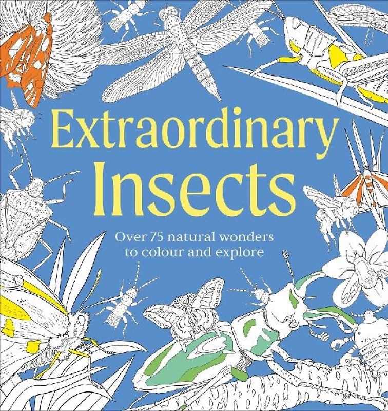 Extraordinary Insects Colouring Book