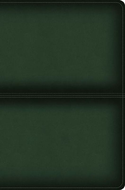 CSB Men's Daily Bible, Olive Leathertouch