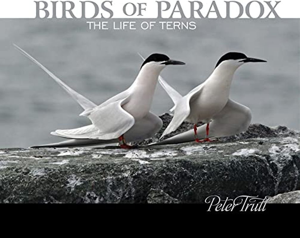 Birds of Paradox
