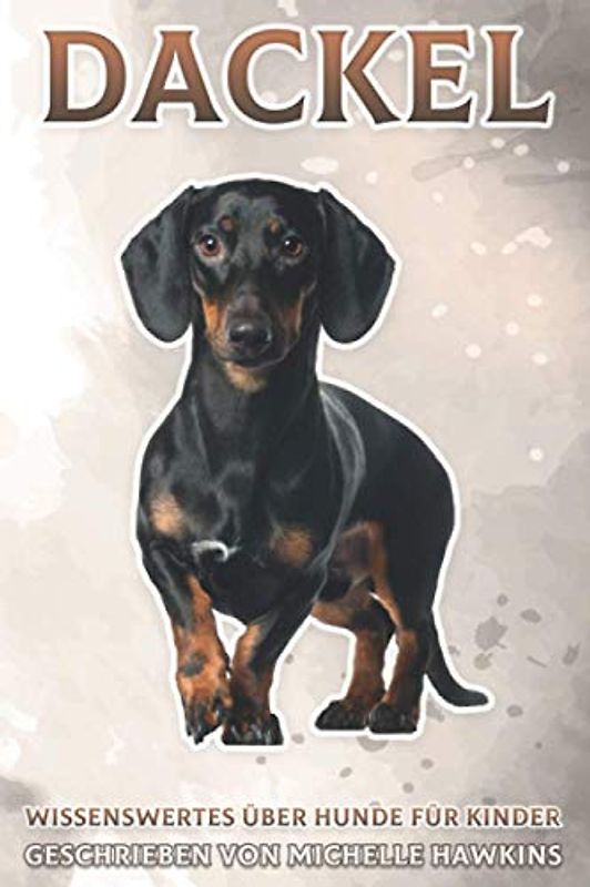 Dackel: Wissenswertes über Hunde für Kinder #12