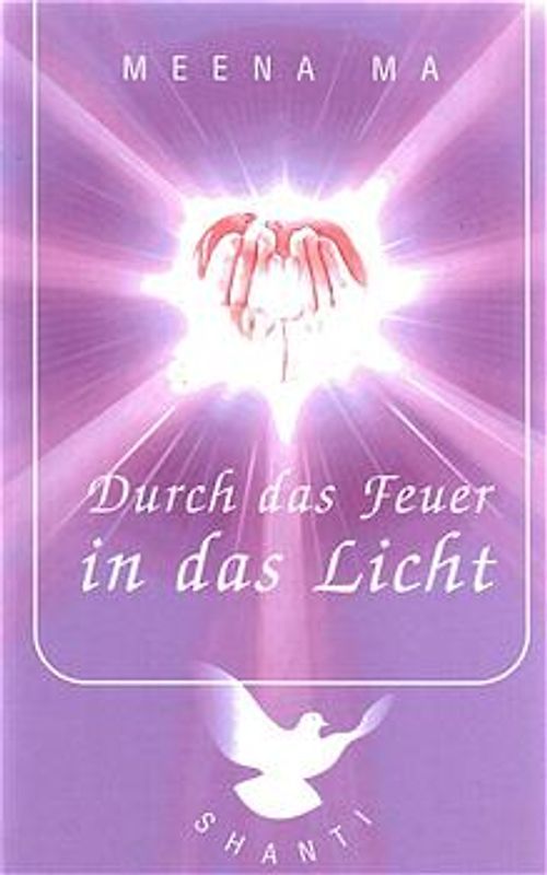 Durch das Feuer in das Licht