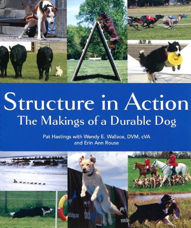 Wallace, Wendy E. - Structure in Action: The Makings of a Durable Dog