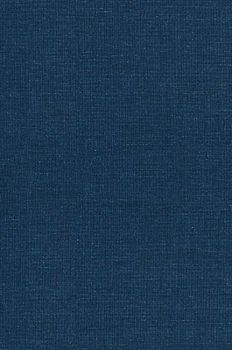 The Sea Fairies by L. Frank Baum, Fiction, Fantasy, Literary, Fairy Tales, Folk Tales, Legends & Mythology