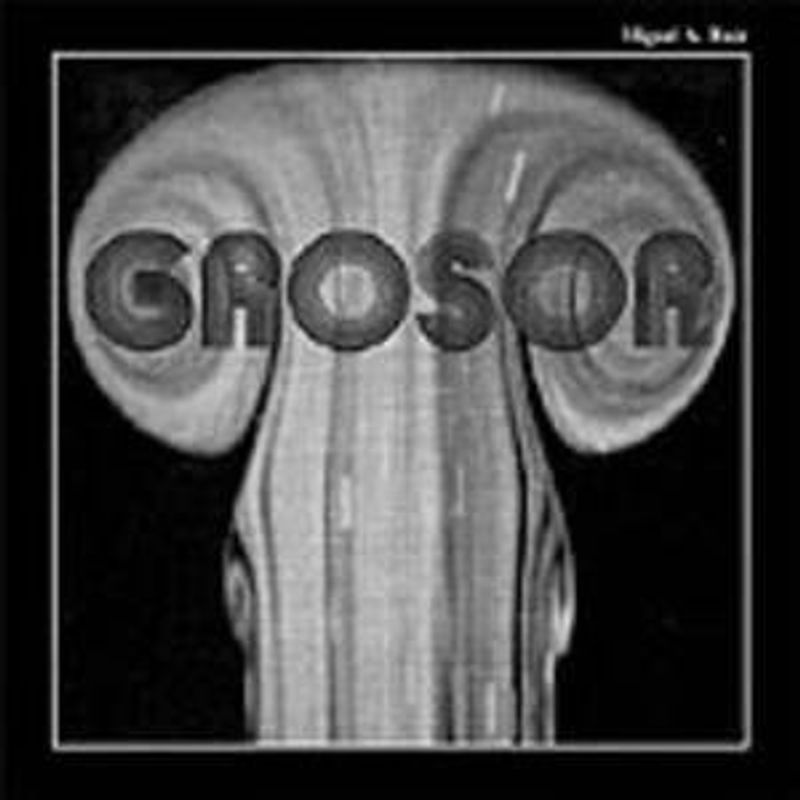 Miguel a. Ruiz - Grosor