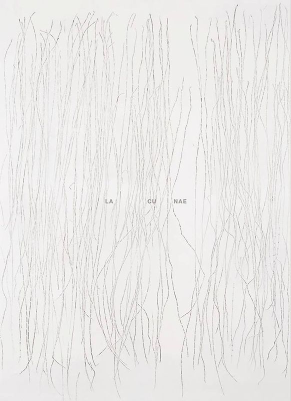 Lacunae - Katharina Hinsberg