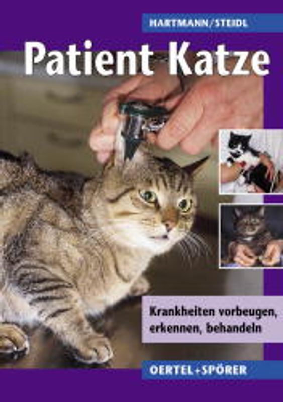 Patient Katze