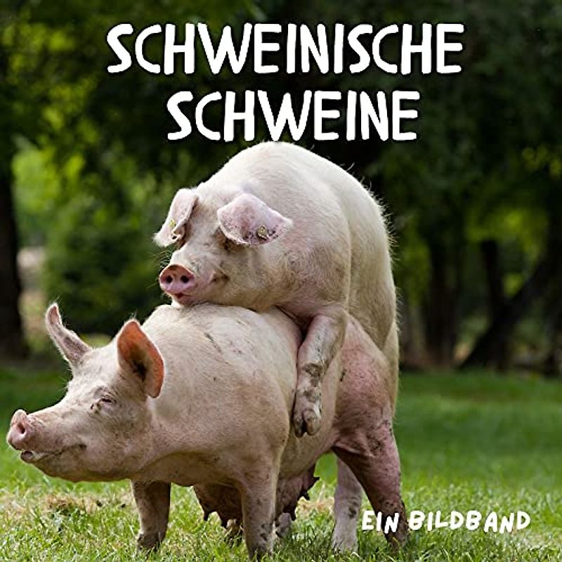 Schweinische Schweine