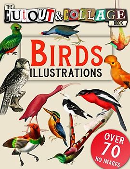 The Cut Out And Collage Book Birds Illustrations: Over 70 High-Quality Birds Illustrations For Collage and Mixed Media Artists (Cut and Collage Books)