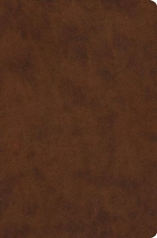 ESV Value Compact Bible (Trutone, Brown)