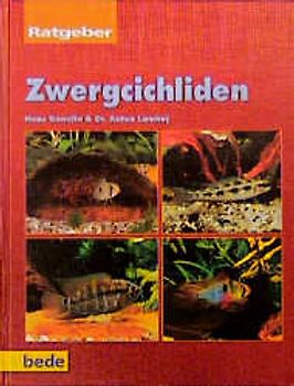 Ratgeber Zwergcichliden