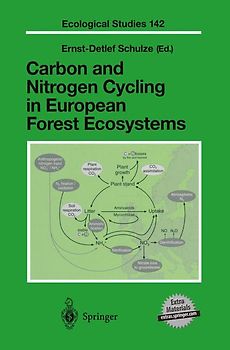Carbon and Nitrogen Cycling in European Forest Ecosystems