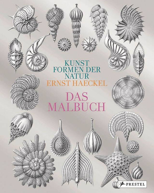 Kunstformen der Natur von Ernst Haeckel