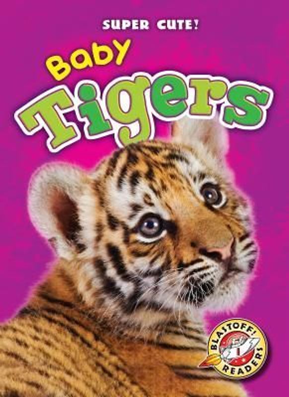Baby Tigers