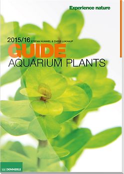 Aquarium plants guide
