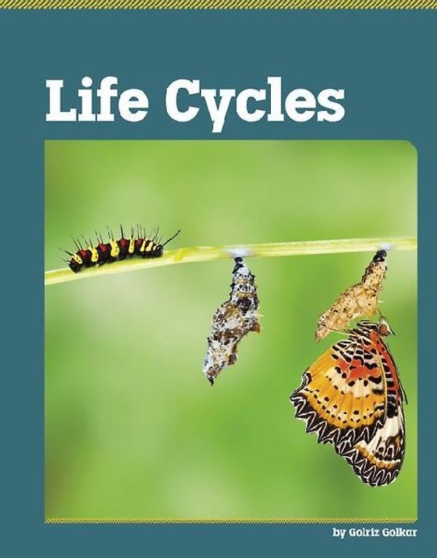 Life Cycles