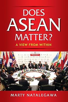 Does ASEAN Matter?