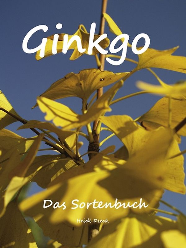 Ginkgo