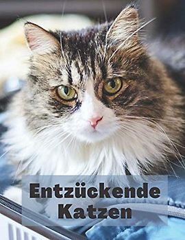 Entzückende Katzen: Katzen Bilderbuch für Kinder, Senioren und Alzheimer-Patienten - alternde Eltern - Haustiere Katzen Kätzchen Tiere.