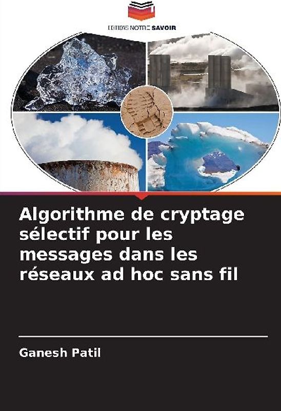 Algorithme de cryptage sélectif pour les messages dans les réseaux ad hoc sans fil