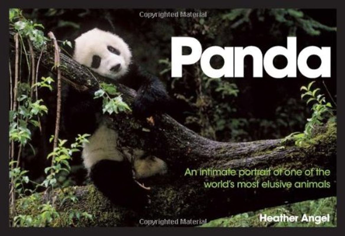 Panda: An Intimate Portrait of One of the World's Most Elusive Creatures - Angel, Heather