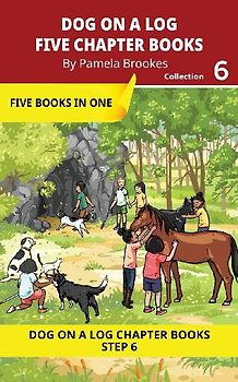Five Chapter Books 6