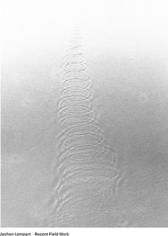 Jochen Lempert. Recent Field Work