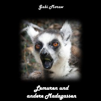 Lemuren und andere Madagassen