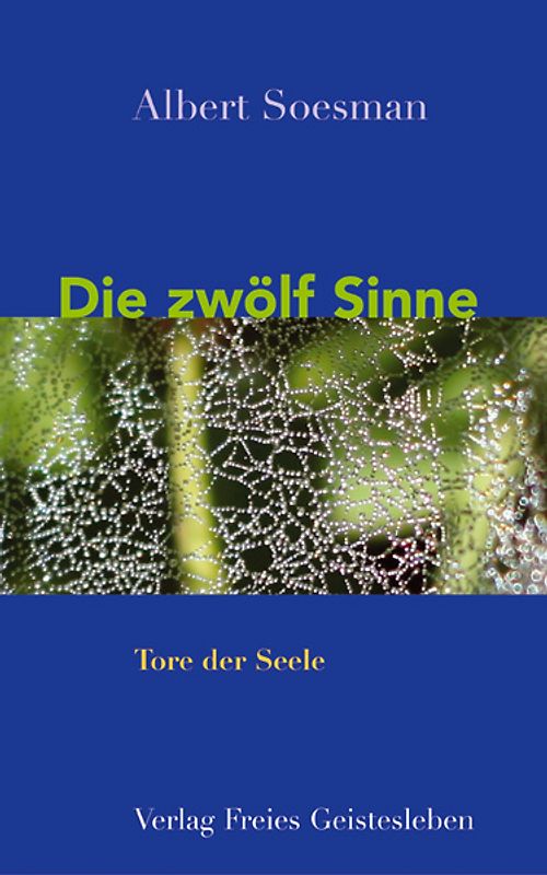 Die zwölf Sinne