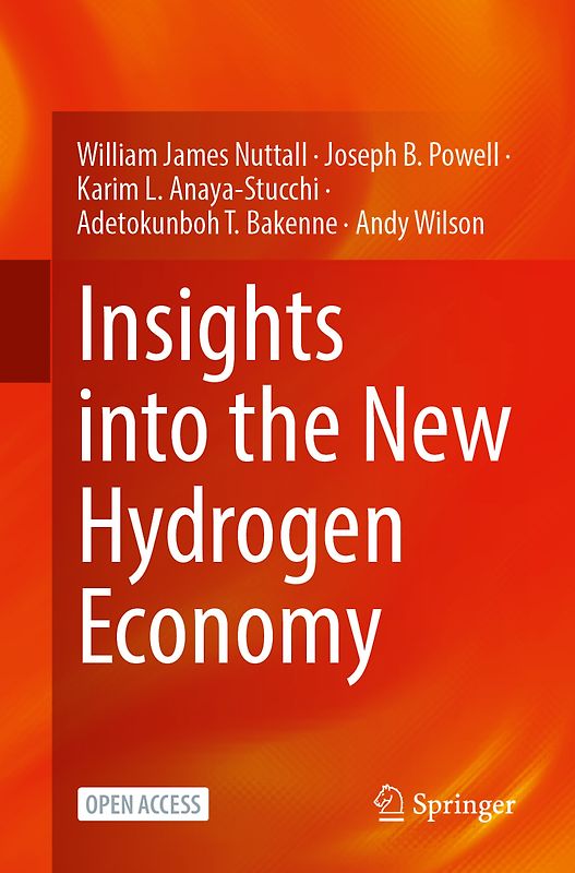 Insights into the New Hydrogen Economy