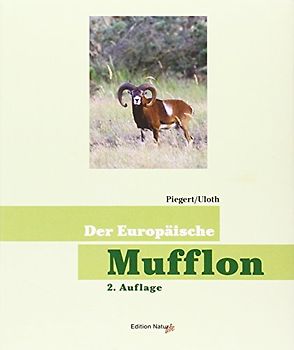 Der europäische Mufflon