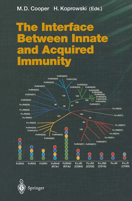 The Interface Between Innate and Acquired Immunity