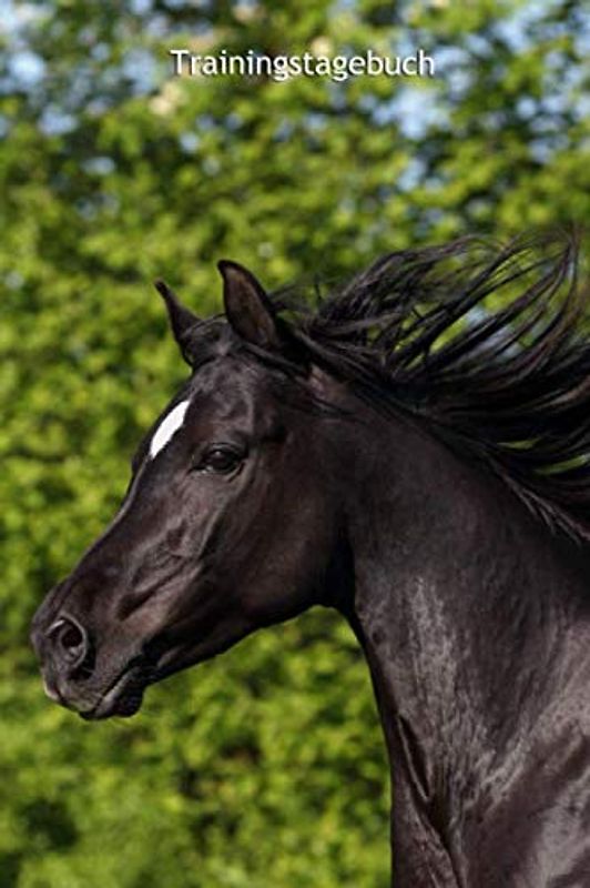 Trainingstagebuch: für ein komplettes Jahr mit Deinem Pferd (datumsunabhängig) (Vollblutaraber - alle Bücher: Trainingstagebuch, Krankenakte, Band 1)